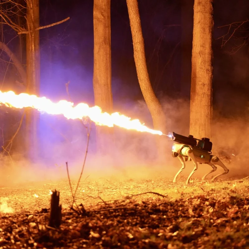 Thermonator flamethrower dog throwflame night fire